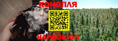 сатива Новодвинск