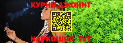 сатива Новодвинск