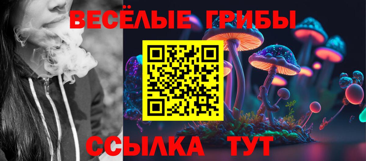 Псилоцибиновые грибы прущие грибы Солнечногорск